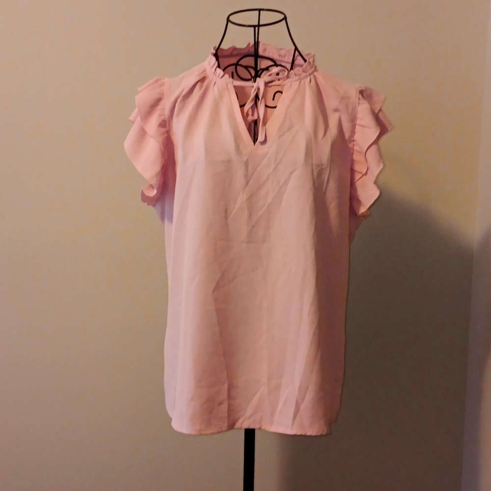 Flutter Sleeve Pink Blouse